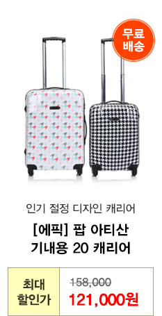 에픽 팝 아티산 기내용 20 캐리어